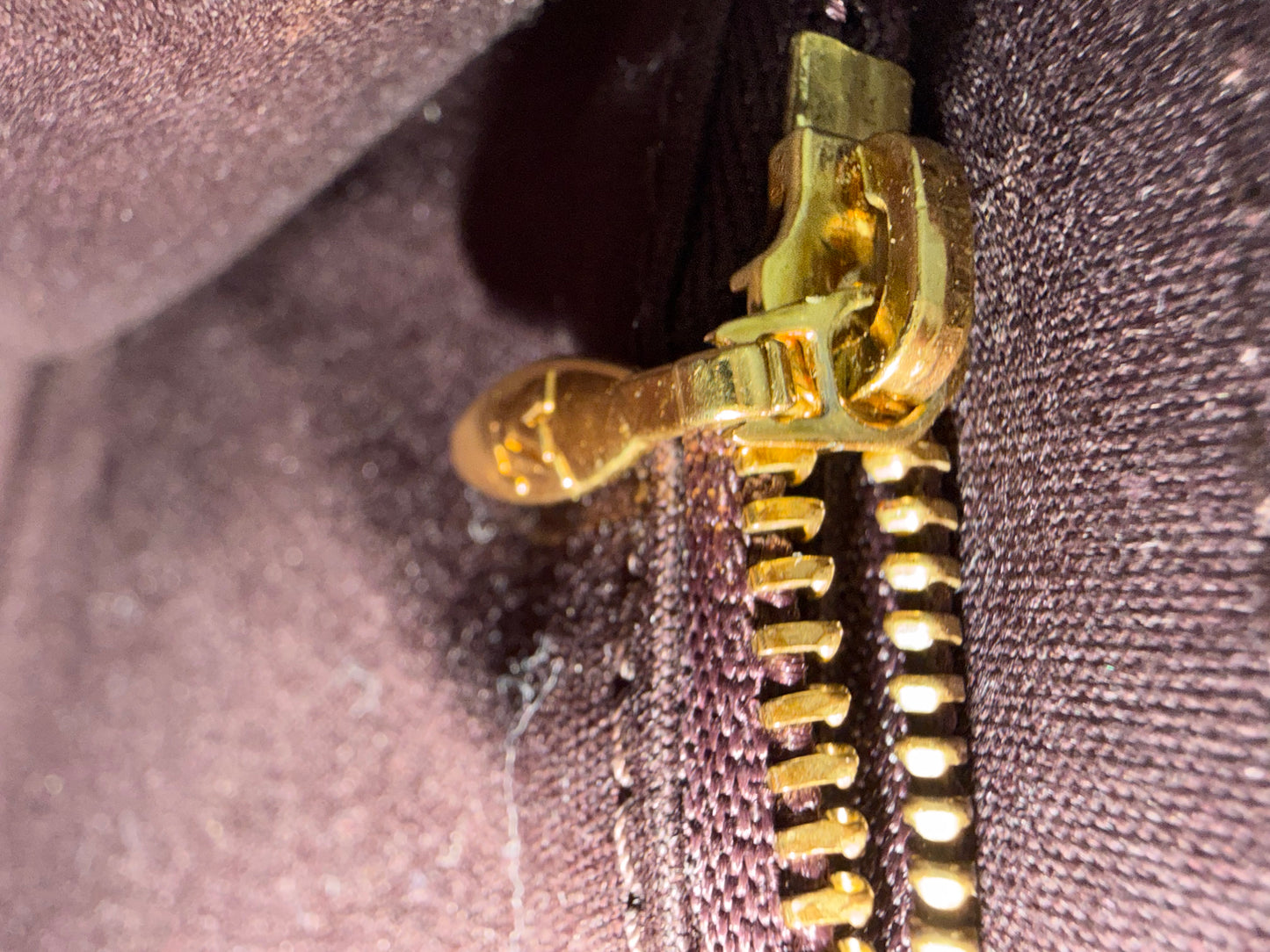 LOUIS VUITTON Sunset Boulevard Wallet on Chain
