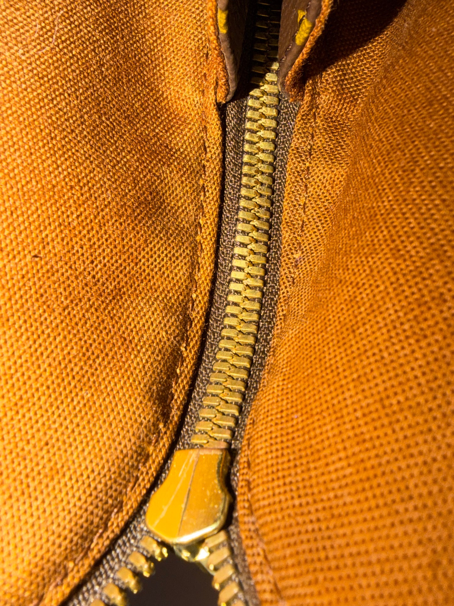 LOUIS VUITTON Alma MM Monogram Canvas